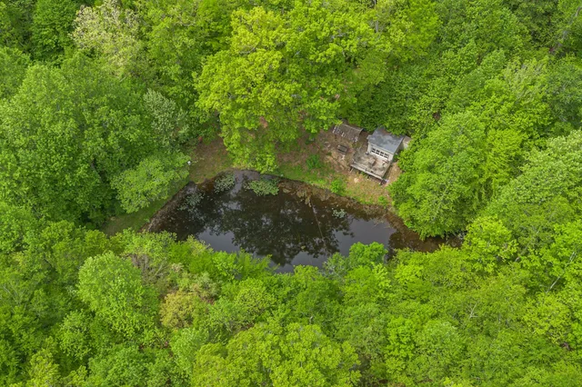 a view of a garden with a building