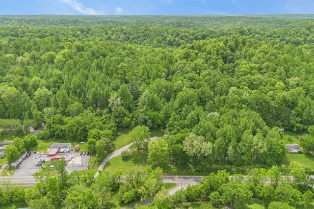 a view of a lush green space