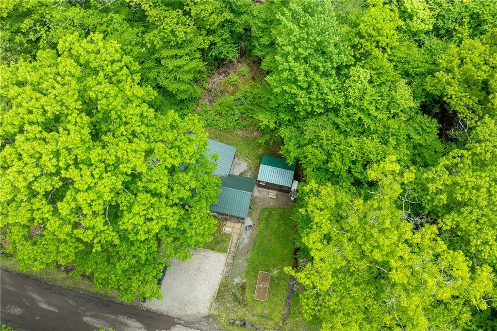124 New Beaver Creek Road Markleysburg, PA 15459 - Photo 30 of 31 a view of a garden