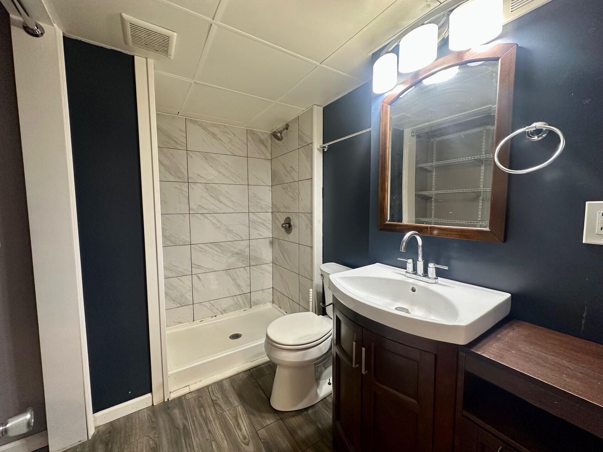 3907 Brookside Drive Crown Point, IN 46307 - Photo 18 of 22 a bathroom with a sink a toilet a mirror and shower
