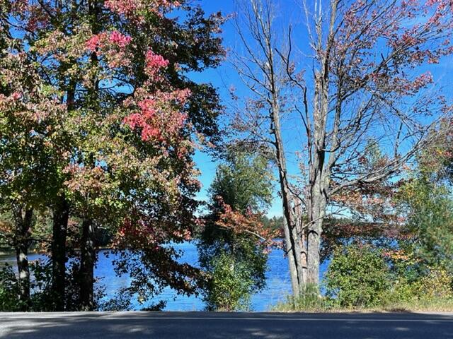 460 Rockland Road Jefferson, ME 04348 - Photo 8 of 50 IMG_5912