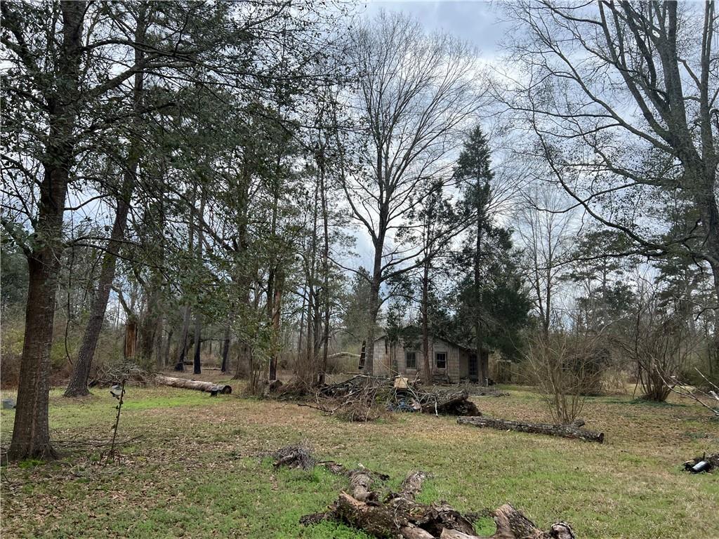118 Cleveland Road Amite, LA 70422 - Photo 4 of 12 Gallery Image 4