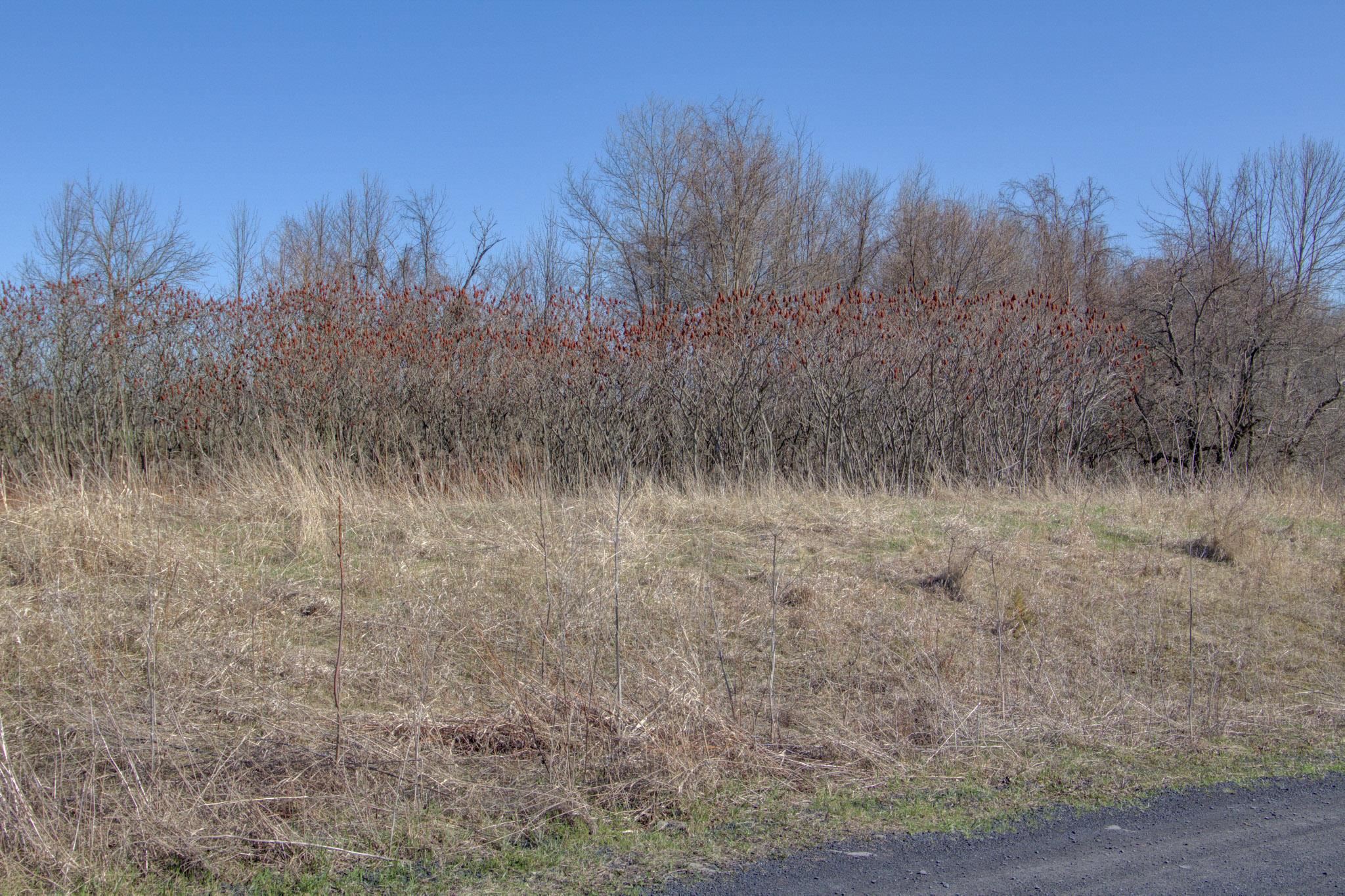 220 Terrapin Lane, Unit LOT 5 Alburgh, VT 05440 - Photo 18 of 28