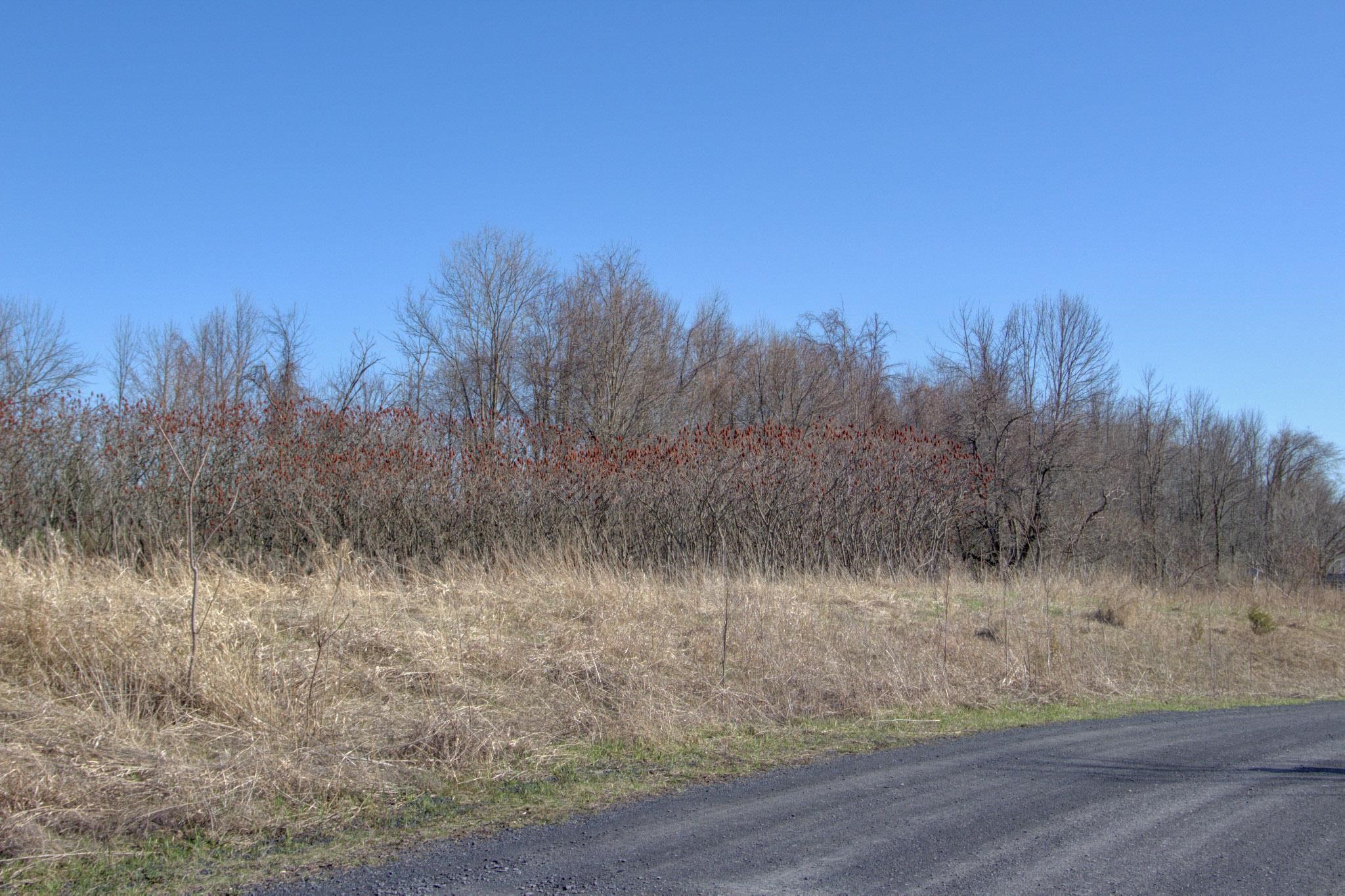 220 Terrapin Lane, Unit LOT 5 Alburgh, VT 05440 - Photo 26 of 28