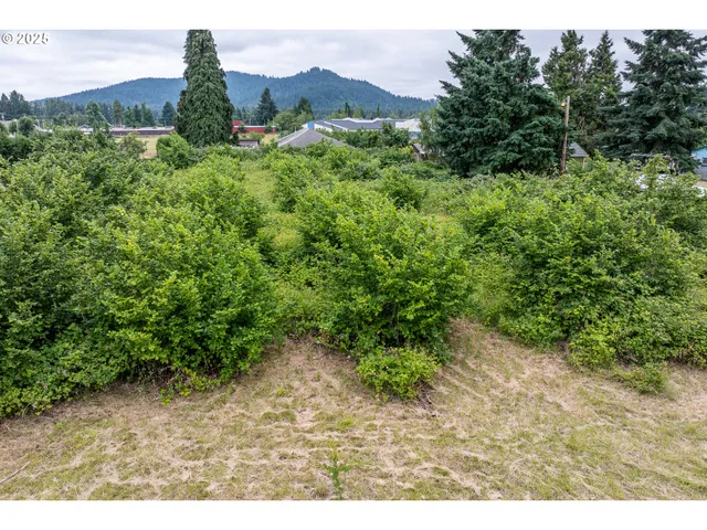 $65,000 | Filbert, Springfield, OR 97478