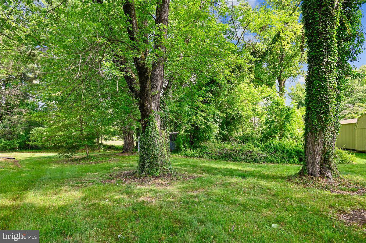 1509 Duvall Road Annapolis, MD 21409 - Photo 12 of 39 a view of a lush green forest