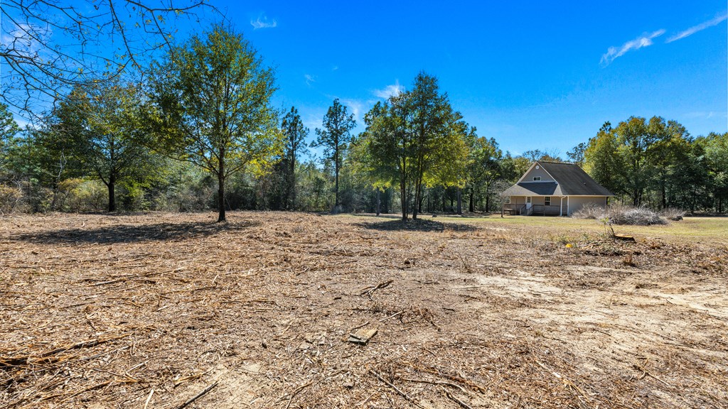 497 George Cannon Road Box Springs, GA 31801 - Photo 28 of 35 Large open area for animals or gardening in back y