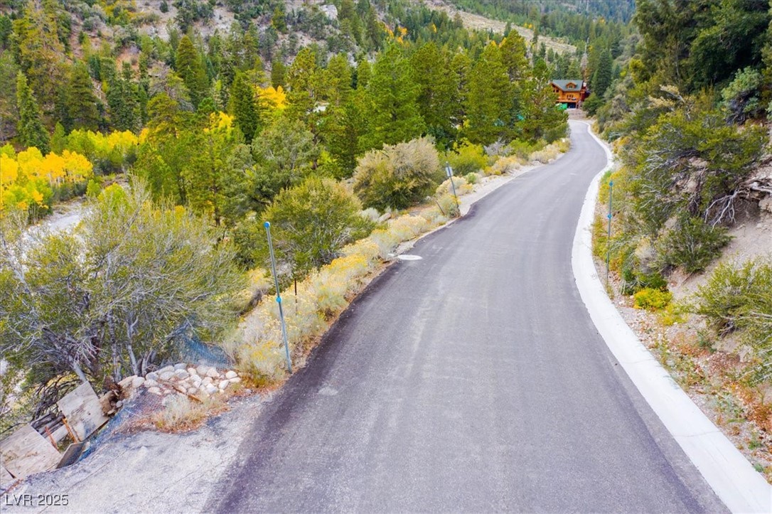 4925 Spruce Road Las Vegas, NV 89124 - Photo 14 of 49 View of asphalt street