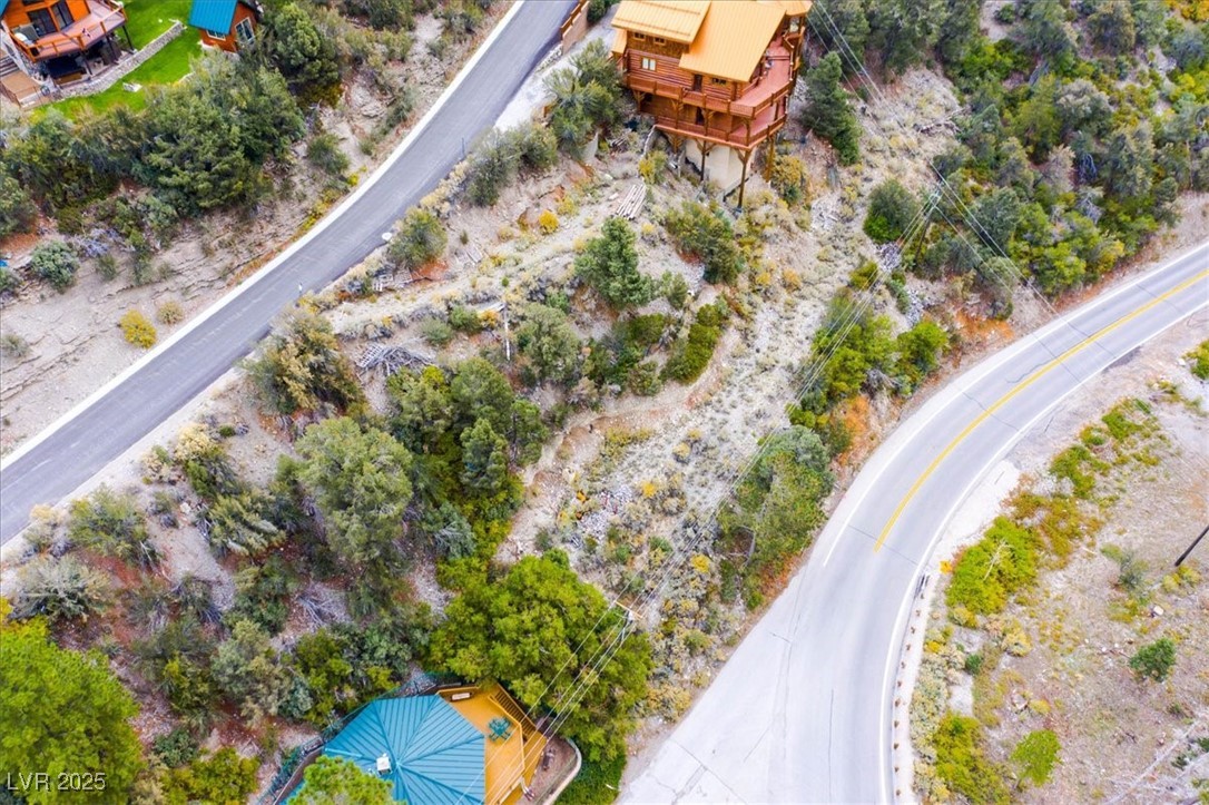 4925 Spruce Road Las Vegas, NV 89124 - Photo 19 of 49 Bird's eye view