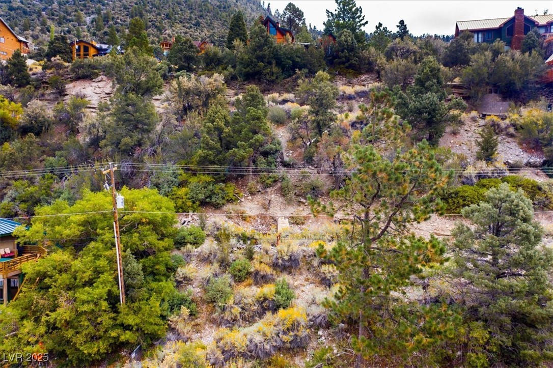 4925 Spruce Road Las Vegas, NV 89124 - Photo 24 of 49 Bird's eye view