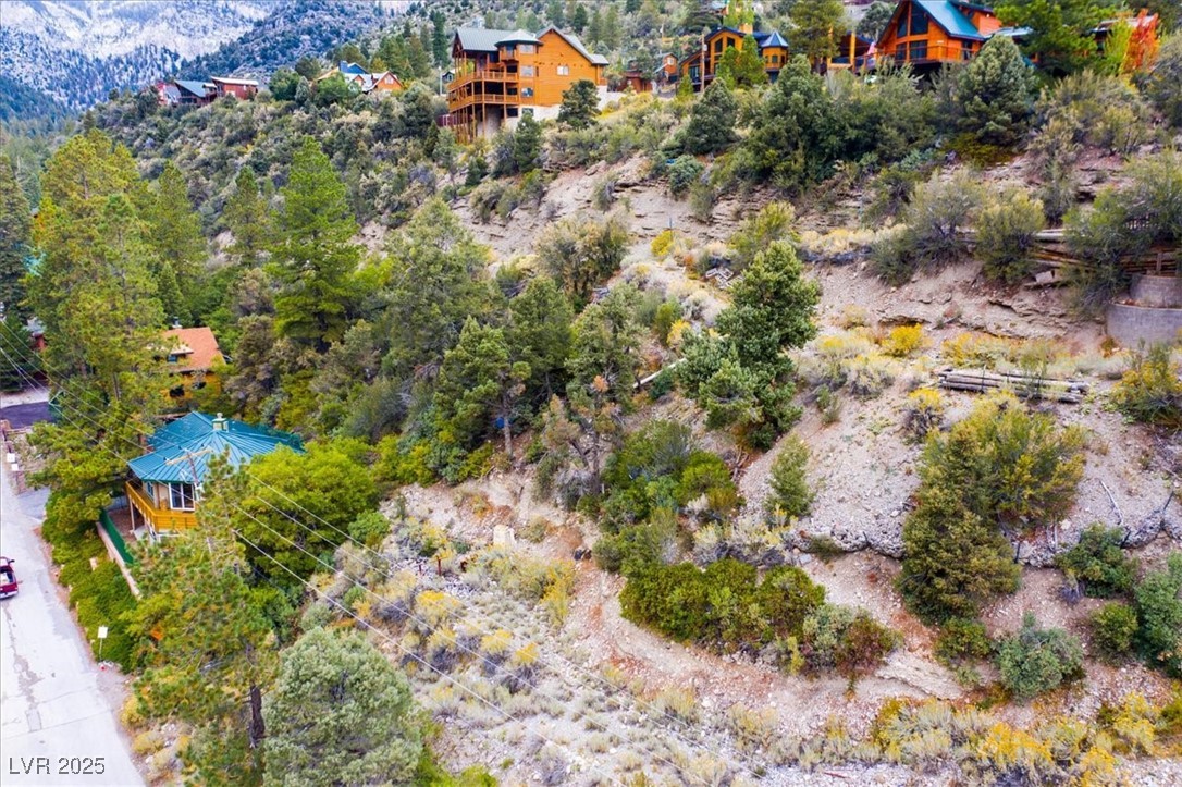 4925 Spruce Road Las Vegas, NV 89124 - Photo 27 of 49 Bird's eye view