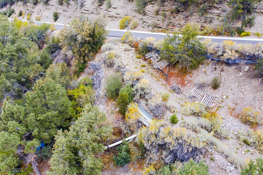 4925 Spruce Road Las Vegas, NV 89124 - Photo 29 of 49 Aerial overview of property's location