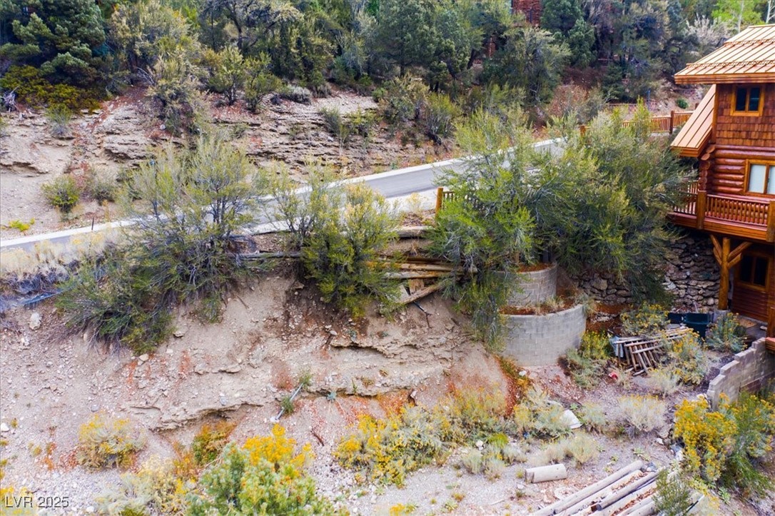 4925 Spruce Road Las Vegas, NV 89124 - Photo 31 of 49 View of yard