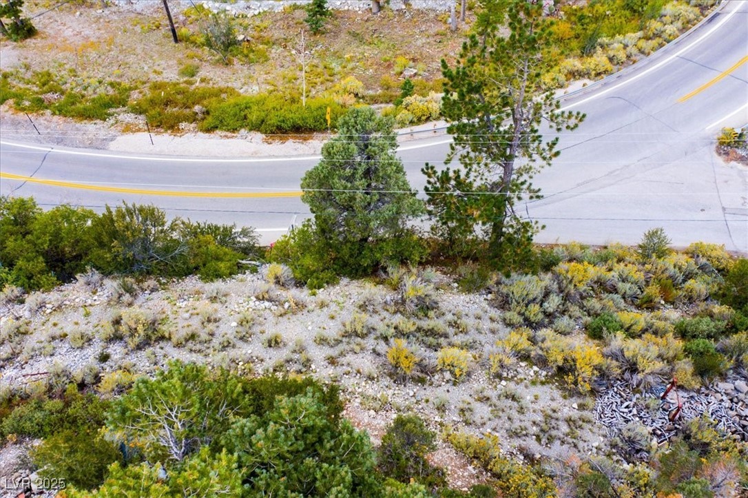 4925 Spruce Road Las Vegas, NV 89124 - Photo 34 of 49 Bird's eye view