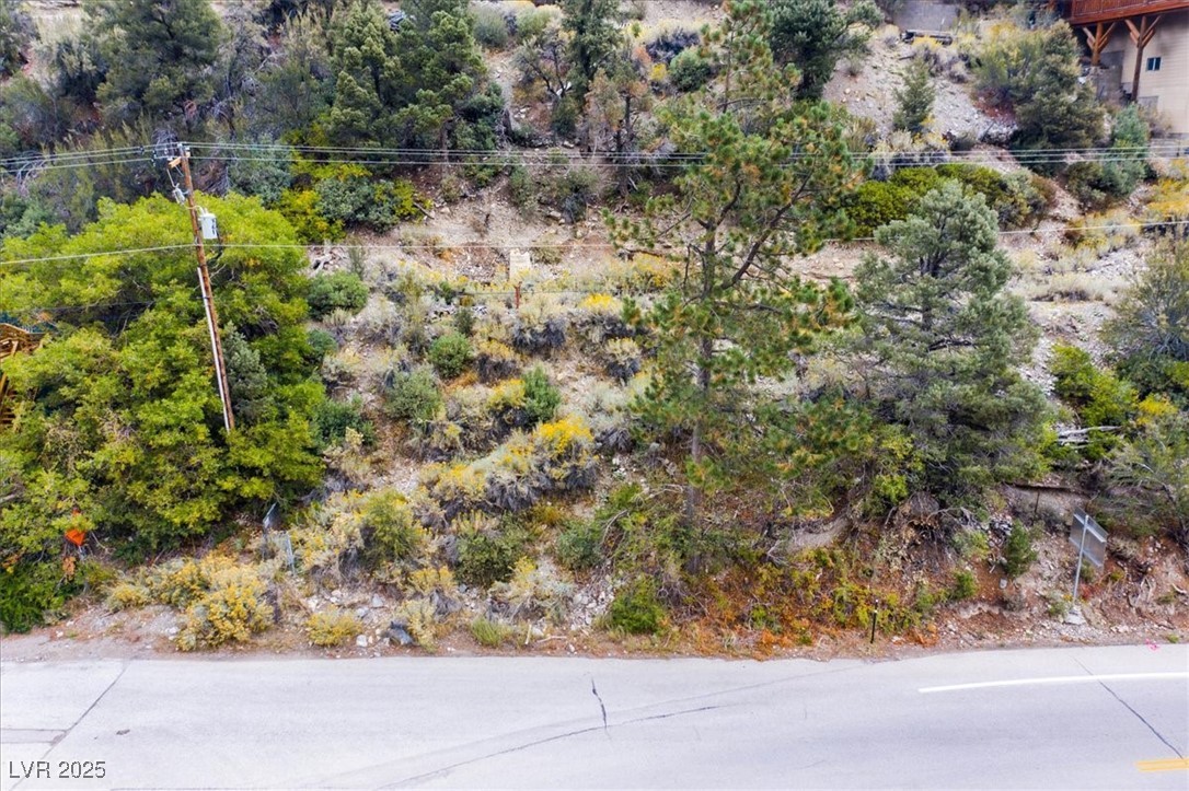 4925 Spruce Road Las Vegas, NV 89124 - Photo 35 of 49 Bird's eye view