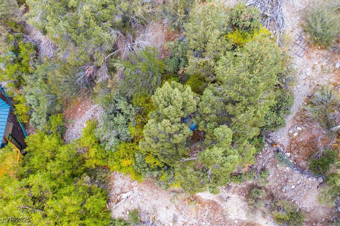 4925 Spruce Road Las Vegas, NV 89124 - Photo 38 of 49 View of property location