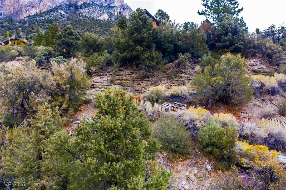 4925 Spruce Road Las Vegas, NV 89124 - Photo 39 of 49