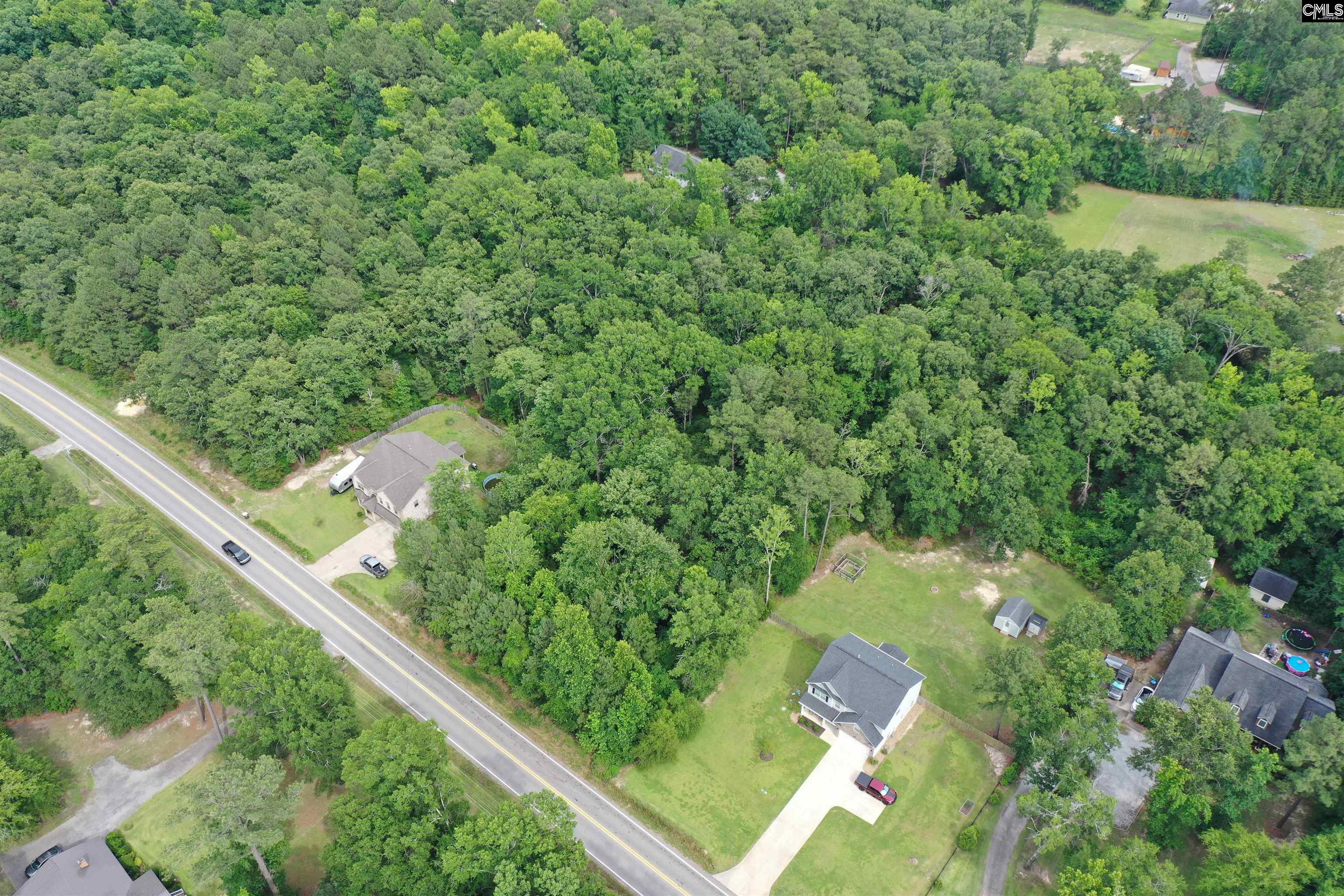 743 Amicks Ferry Road Chapin, SC 29036 - Photo 8 of 11