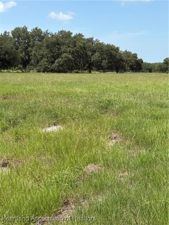 1001 Cattle Ranch Road Venus, FL 33960 - Photo 4 of 5