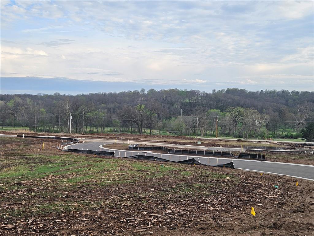 6739 Oak Ridge Drive Shawnee, KS 66217 - Photo 5 of 15