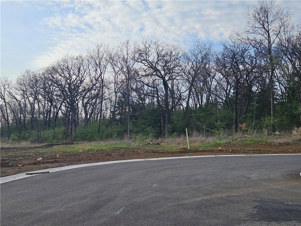 6739 Oak Ridge Drive Shawnee, KS 66217 - Photo 6 of 15