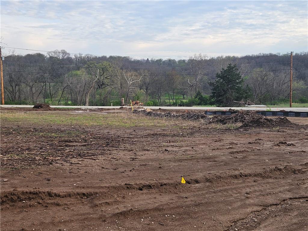 6739 Oak Ridge Drive Shawnee, KS 66217 - Photo 7 of 15