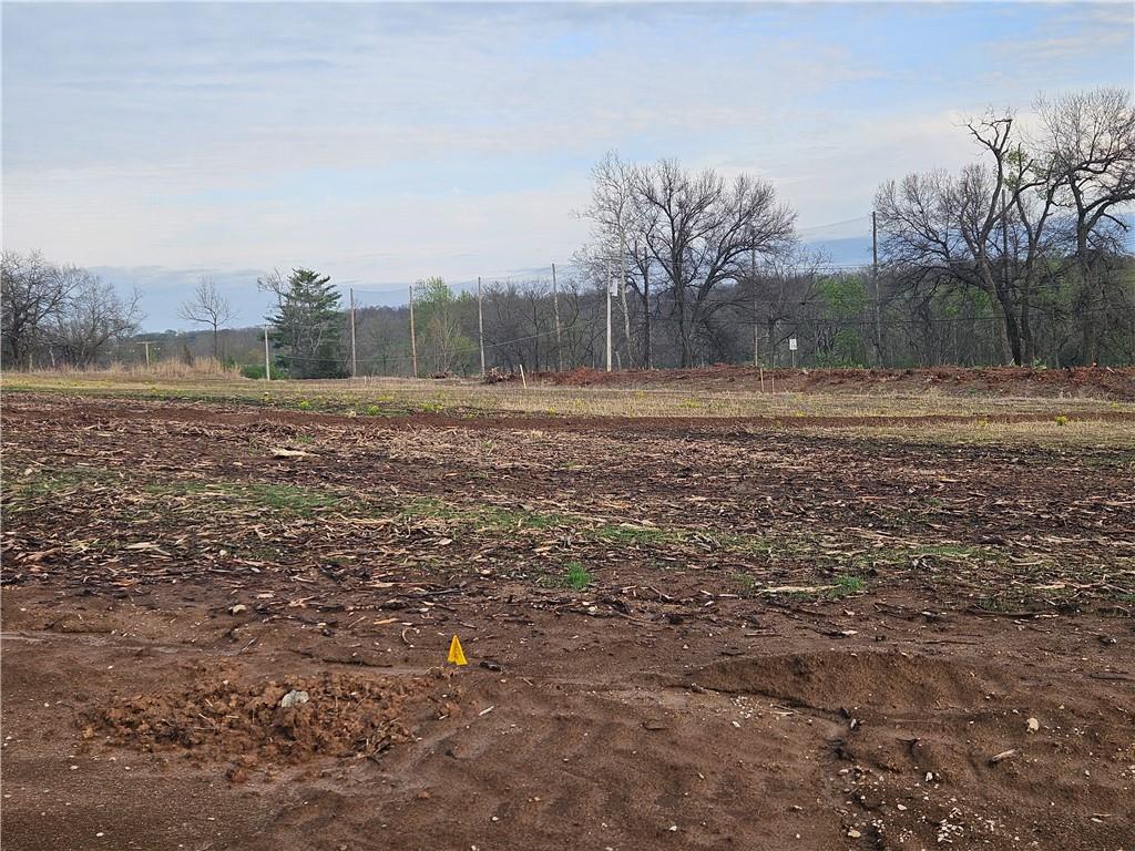 6739 Oak Ridge Drive Shawnee, KS 66217 - Photo 8 of 15