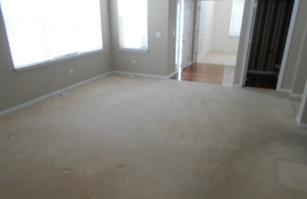 307 Quarry Ridge Circle Sugar Grove, IL 60554 - Photo 6 of 22