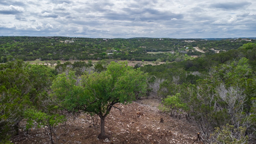 Lot 27 River Valley Road South Ingram, TX 78025 - Photo 15 of 15