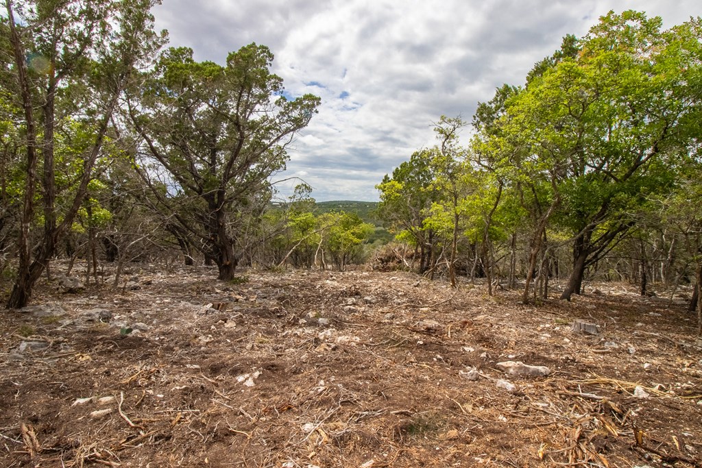 Lot 27 River Valley Road South Ingram, TX 78025 - Photo 4 of 15