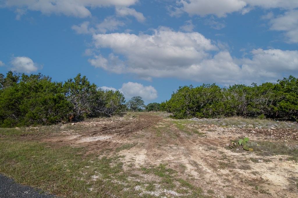 Lot 27 River Valley Road South Ingram, TX 78025 - Photo 4 of 9 a view of a dry yard with trees