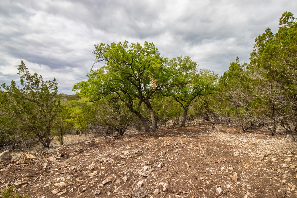 Lot 27 River Valley Road South Ingram, TX 78025 - Photo 5 of 15