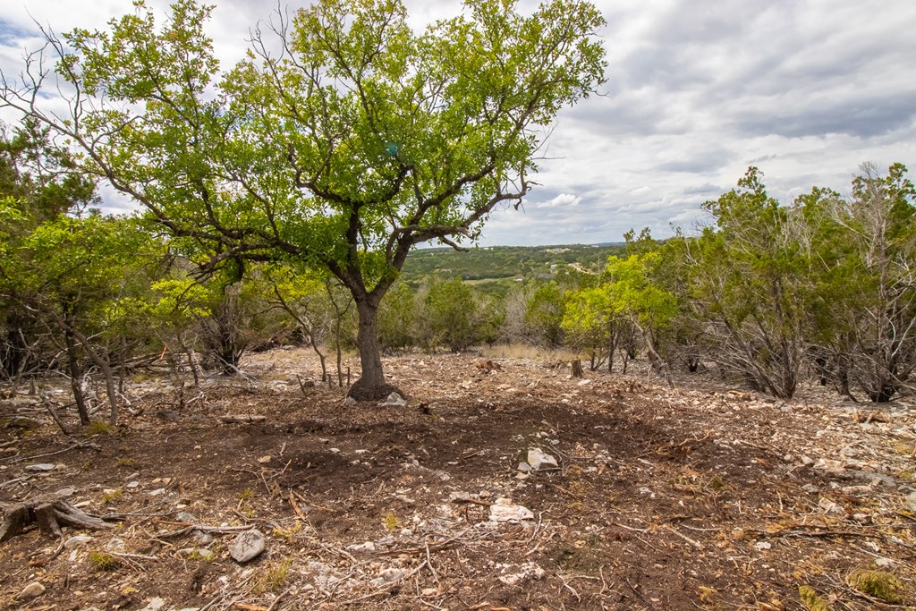 Lot 27 River Valley Road South Ingram, TX 78025 - Photo 6 of 15