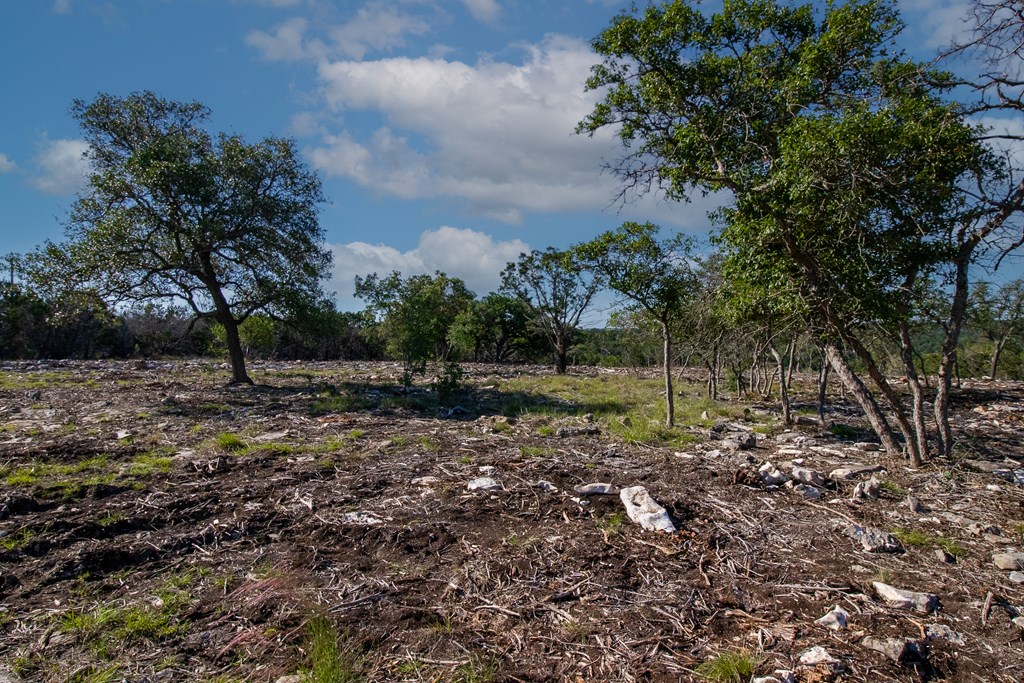 Lot 27 River Valley Road South Ingram, TX 78025 - Photo 7 of 9 a view of backyard with green space