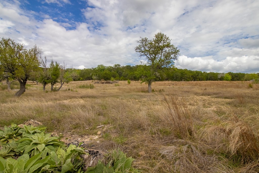 Lot 27 River Valley Road South Ingram, TX 78025 - Photo 10 of 15