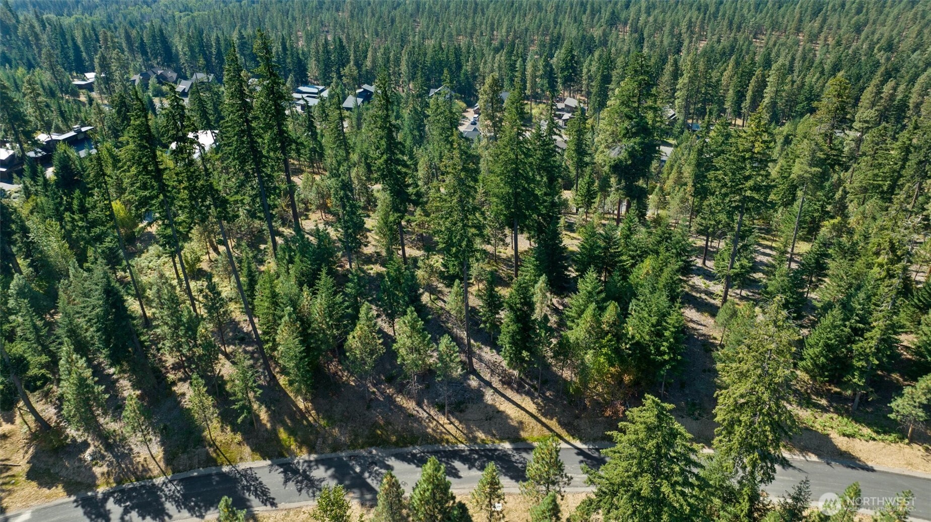 9 Red Sky Way Ronald, WA 98940 - Photo 19 of 27 a view of a lush green forest with large trees