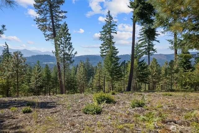 $695,000 | 9 Red Sky Way, Ronald, WA 98940