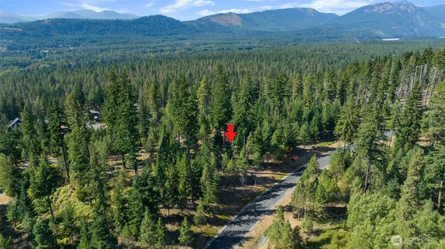 $695,000 | 9 Red Sky Way, Ronald, WA 98940