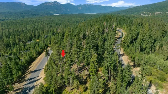 $695,000 | 9 Red Sky Way, Ronald, WA 98940