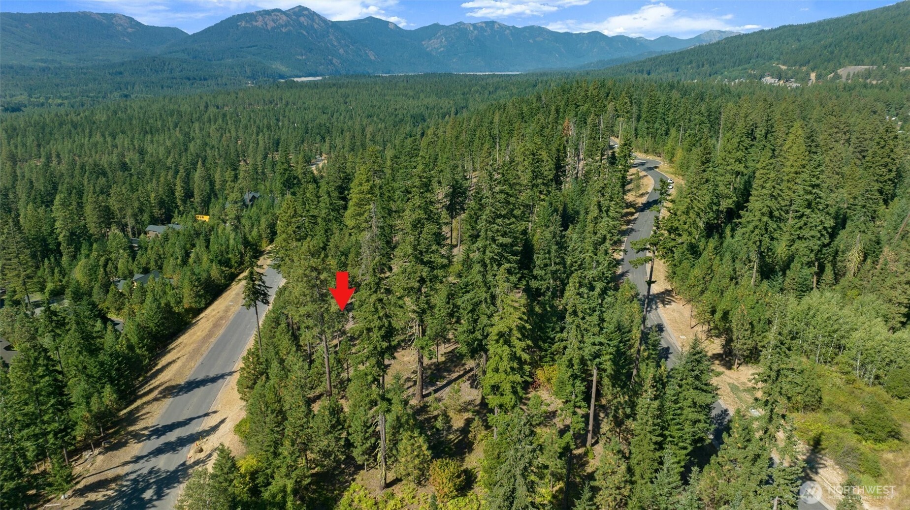 9 Red Sky Way Ronald, WA 98940 - Photo 24 of 27 a view of a lush green forest with a mountain