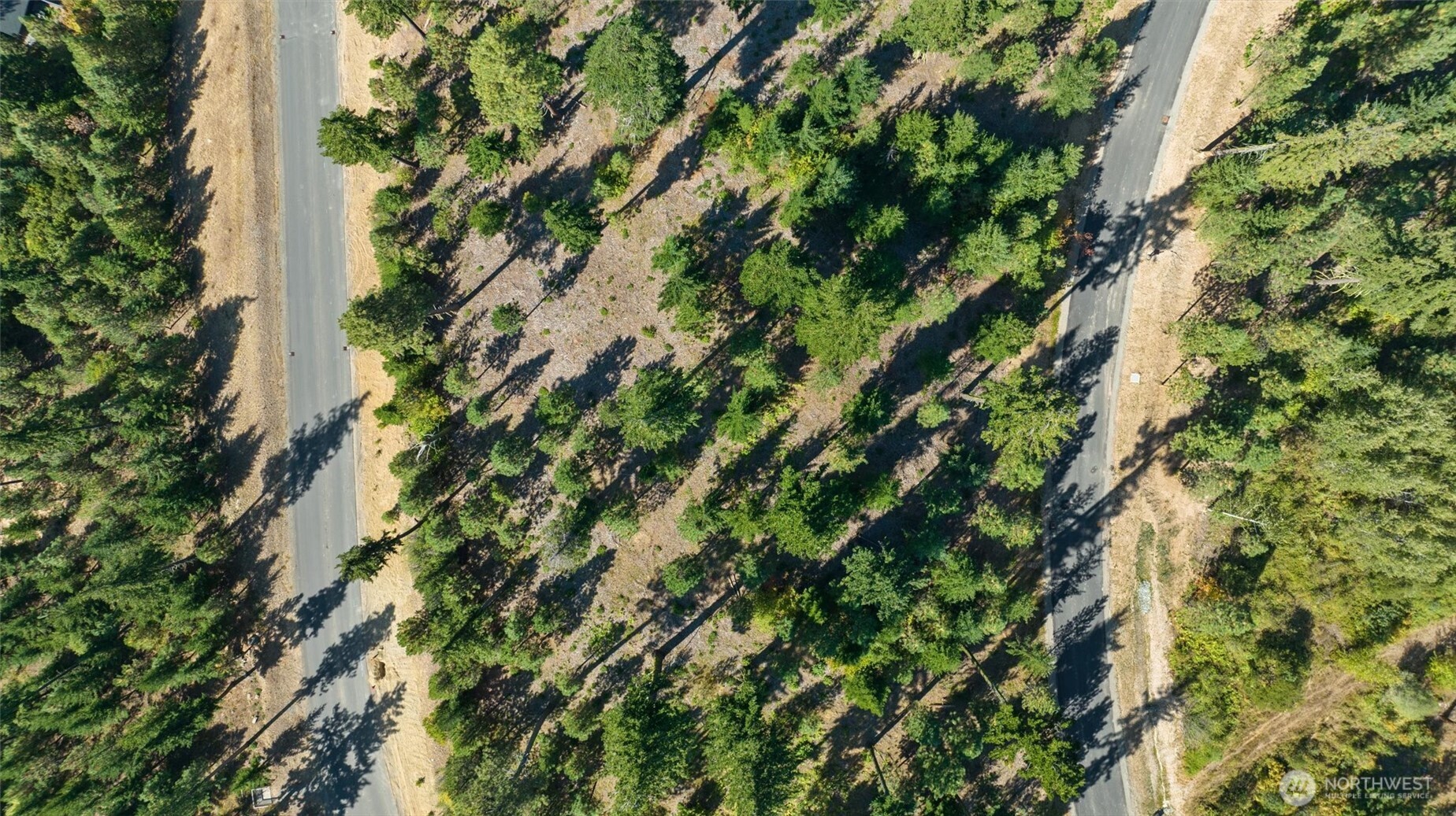 9 Red Sky Way Ronald, WA 98940 - Photo 27 of 27 view of a tree