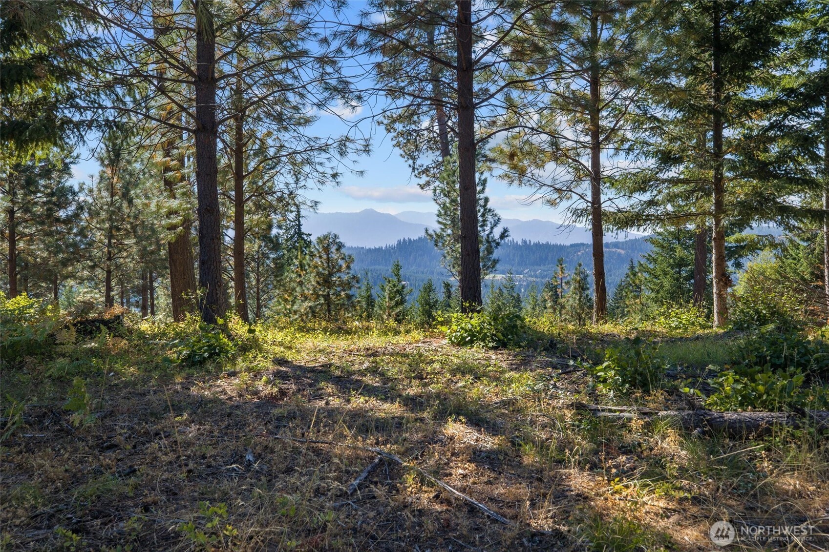 9 Red Sky Way Ronald, WA 98940 - Photo 4 of 27 a fire hydrant in the middle of a forest