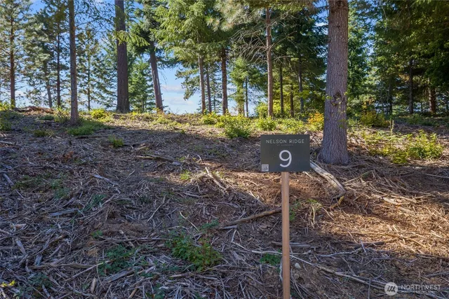 $695,000 | 9 Red Sky Way, Ronald, WA 98940