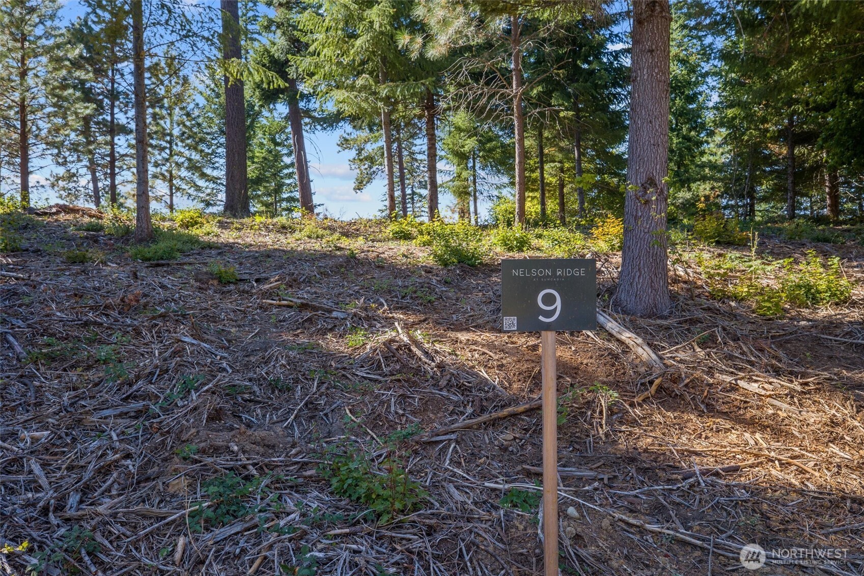 9 Red Sky Way Ronald, WA 98940 - Photo 5 of 27 a front view of a house with a yard