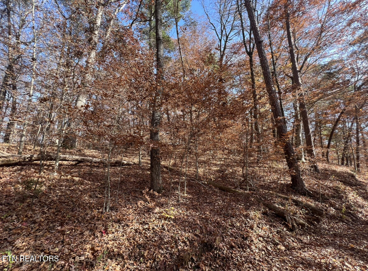 Sweetwater Road Newport, TN 37821 - Photo 1 of 3 BC504A1C-B441-4F44-AA06-40B091E211D2