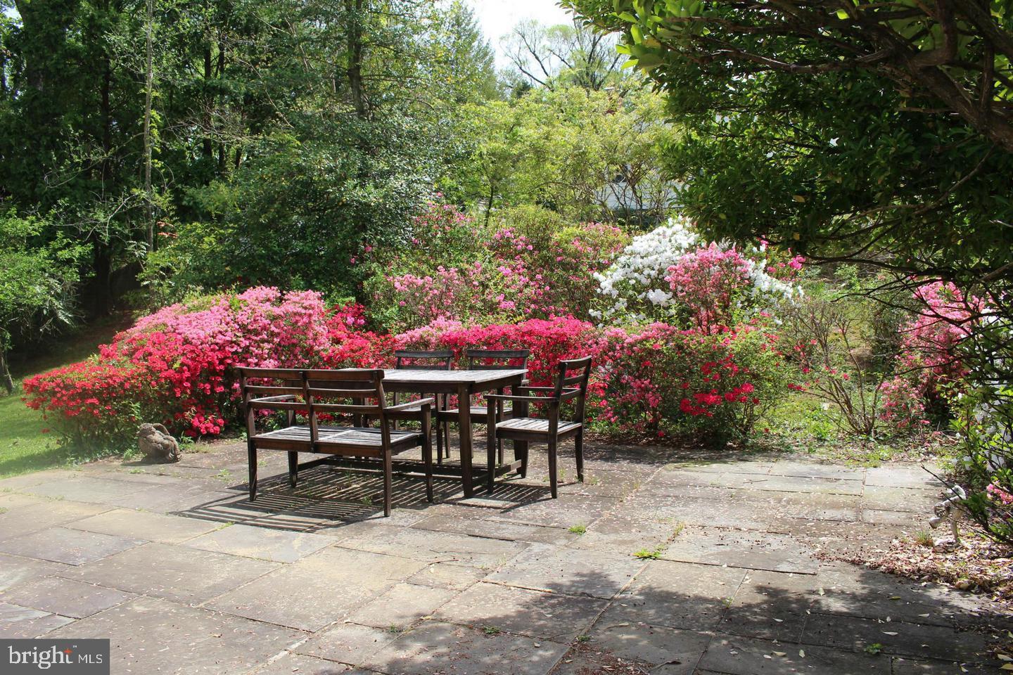 1534 Arbor View Road Silver Spring, MD 20902 - Photo 29 of 30 Large Private Patio