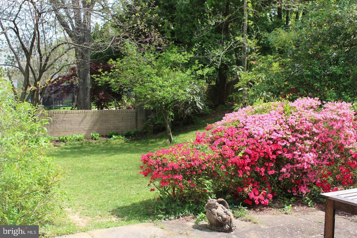 1534 Arbor View Road Silver Spring, MD 20902 - Photo 30 of 30 Lush Flowering Plantings