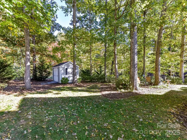a view of a yard with a tree
