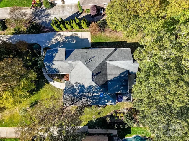 a view of a yard with plants