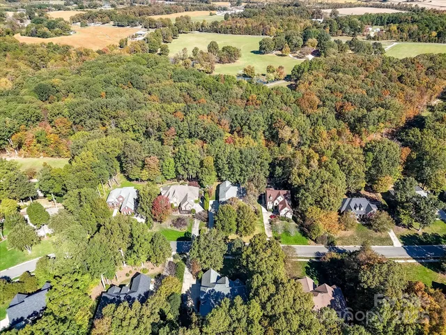 a view of a dry yard